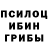 Псилоцибиновые грибы Magic Shrooms gurgen daget