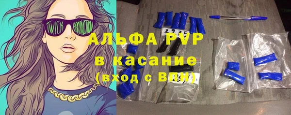 сатива Нефтекумск