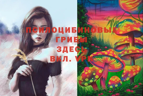 ешки Бугульма