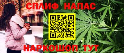 тгк Канаш