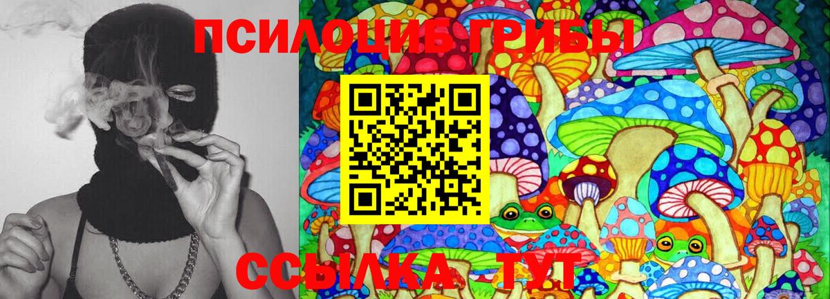 даркнет сайт  Галлюциногенные грибы MAGIC MUSHROOMS  Вход с VPN  Псилоцибиновые грибы Cubensis  Энгельс 