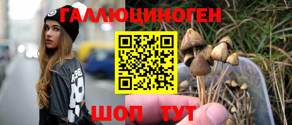 Псилоцибиновые грибы мицелий Энгельс